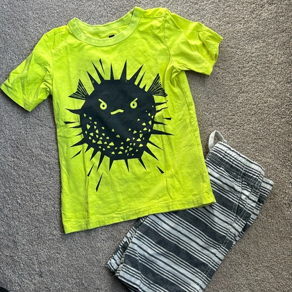 EUC Tea Collection shirt, Gymboree shorts, size 6 - Picture 1 of 3